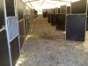 Norrköping horse show toukokuu 2007