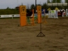 Norrköping horse show toukokuu 2007