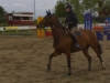 Norrköping horse show toukokuu 2007
