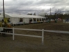 Norrköping horse show toukokuu 2007