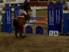 Norrköping horse show toukokuu 2007