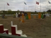Norrköping horse show toukokuu 2007