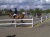 Norrköping horse show toukokuu 2007
